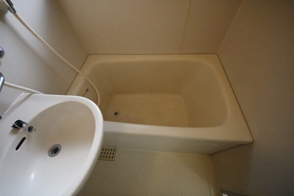 アベニュー中央林間の物件内観写真